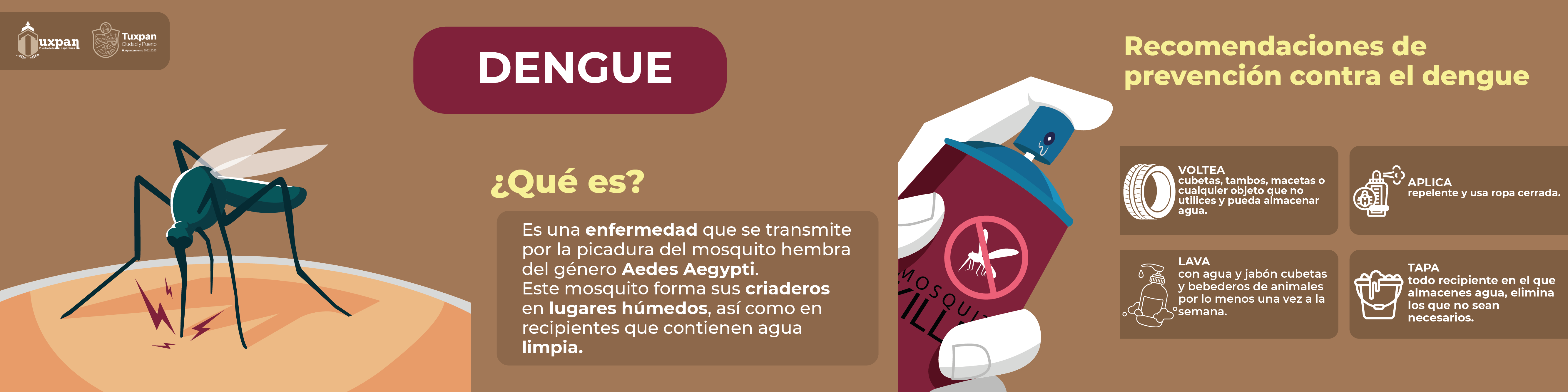 Recomendaciones de Prevención contra el Dengue