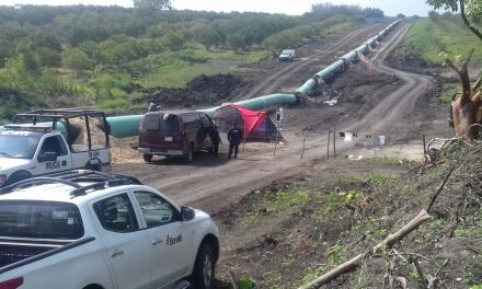 Hallazgo Arqueológico en Tamiahua