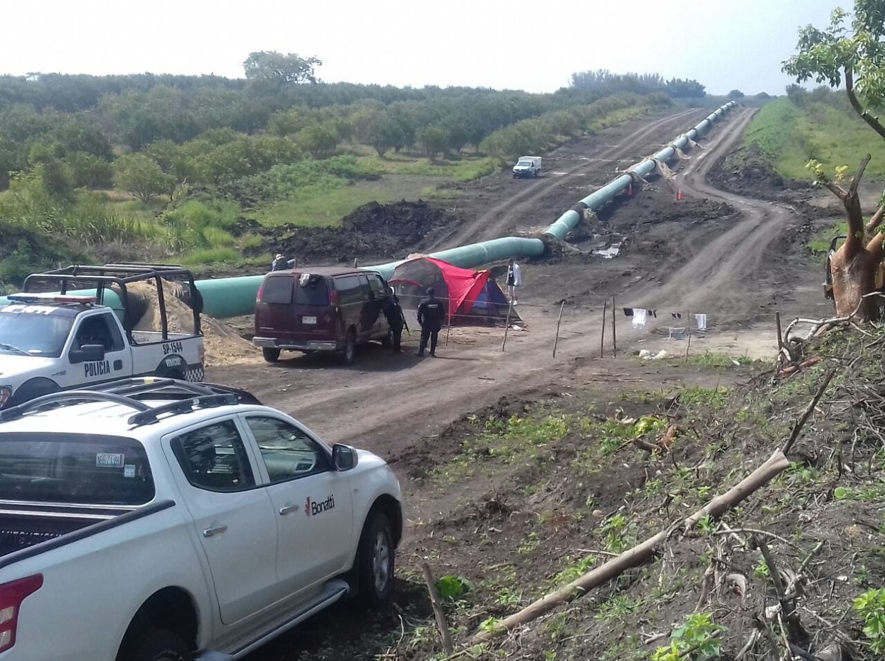 Hallazgo Arqueológico en Tamiahua