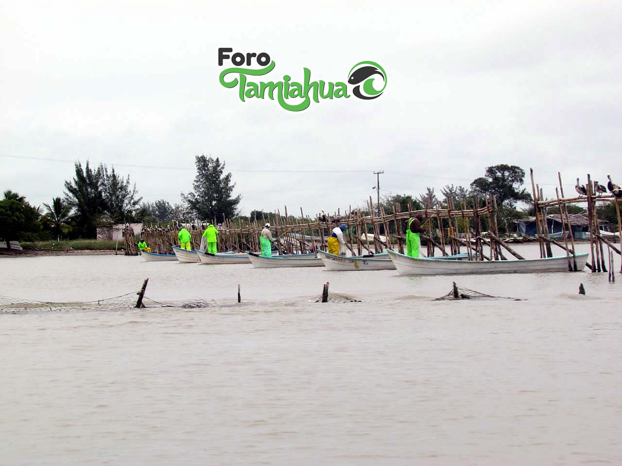 Tres años de permiso para pesca