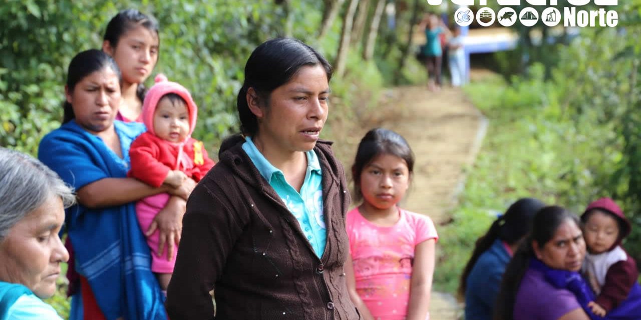 Apoya Sedarpa a mujeres productoras de la sierra de Zongolica