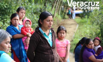 Apoya Sedarpa a mujeres productoras de la sierra de Zongolica
