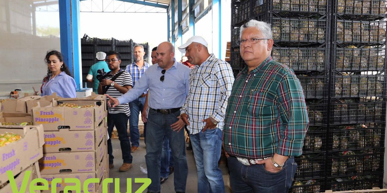 Diálogo permanente con los productores: Guzmán Avilés