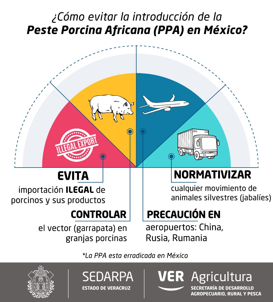 Establecen medidas preventivas para evitar introducción de la PPA