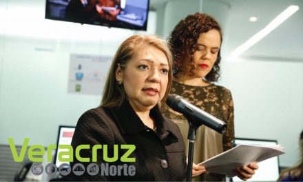 No hubo avance en materia de política económica con EPN: Rosario Guzmán