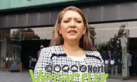 Cámara federal sin Jucopo ni comisiones: Rosario Guzmán Avilés