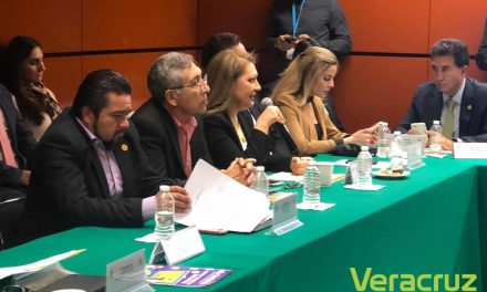 PAN comprometido en garantizar la seguridad de los mexicanos: Rosario Guzmán
