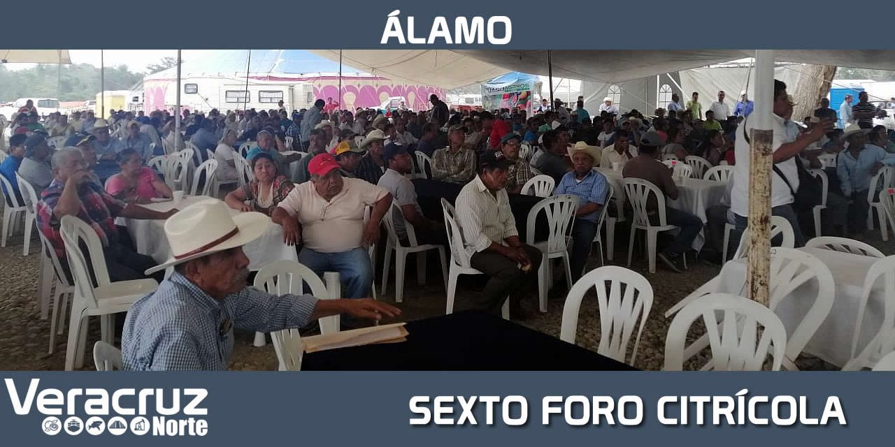 SEXTO FORO CITRÍCOLA