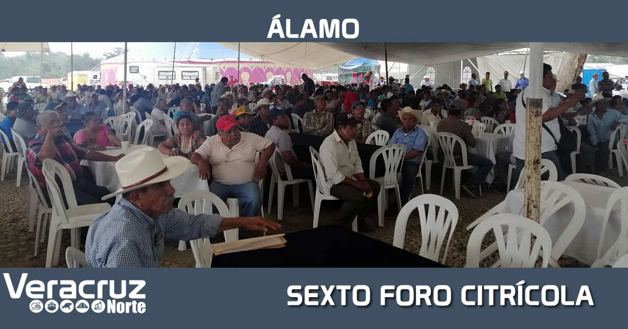 SEXTO FORO CITRÍCOLA