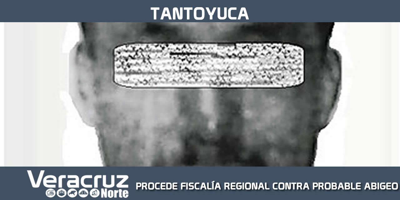 PROCEDE FISCALÍA REGIONAL TANTOYUCA CONTRA PROBABLE ABIGEO