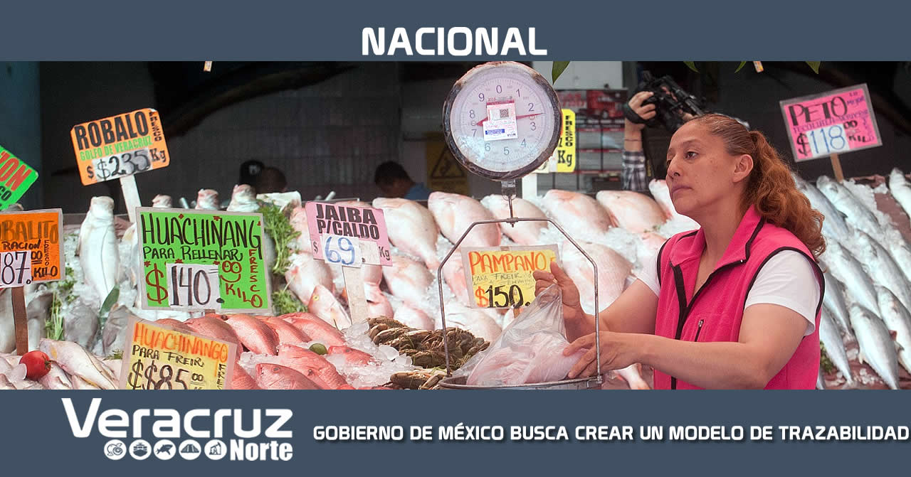 GOBIERNO DE MÉXICO BUSCA CREAR UN MODELO DE TRAZABILIDAD