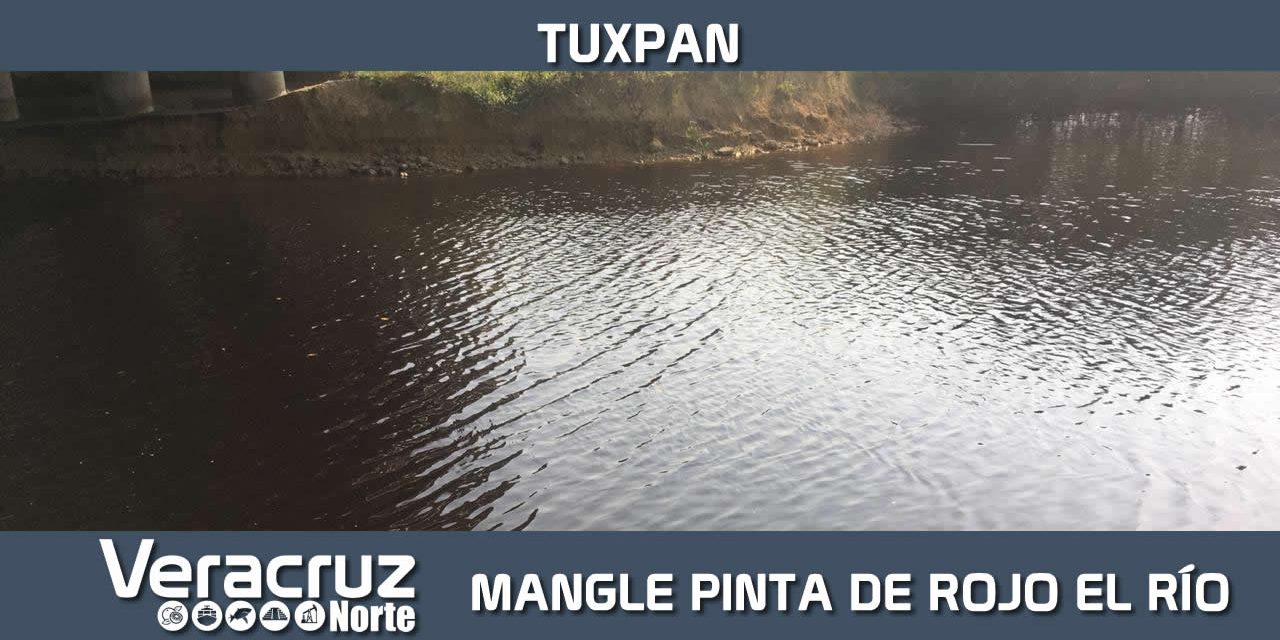 MANGLE ROJO ORIGINÓ COLORACIÓN ROJIZA DE RÍO TUXPAN