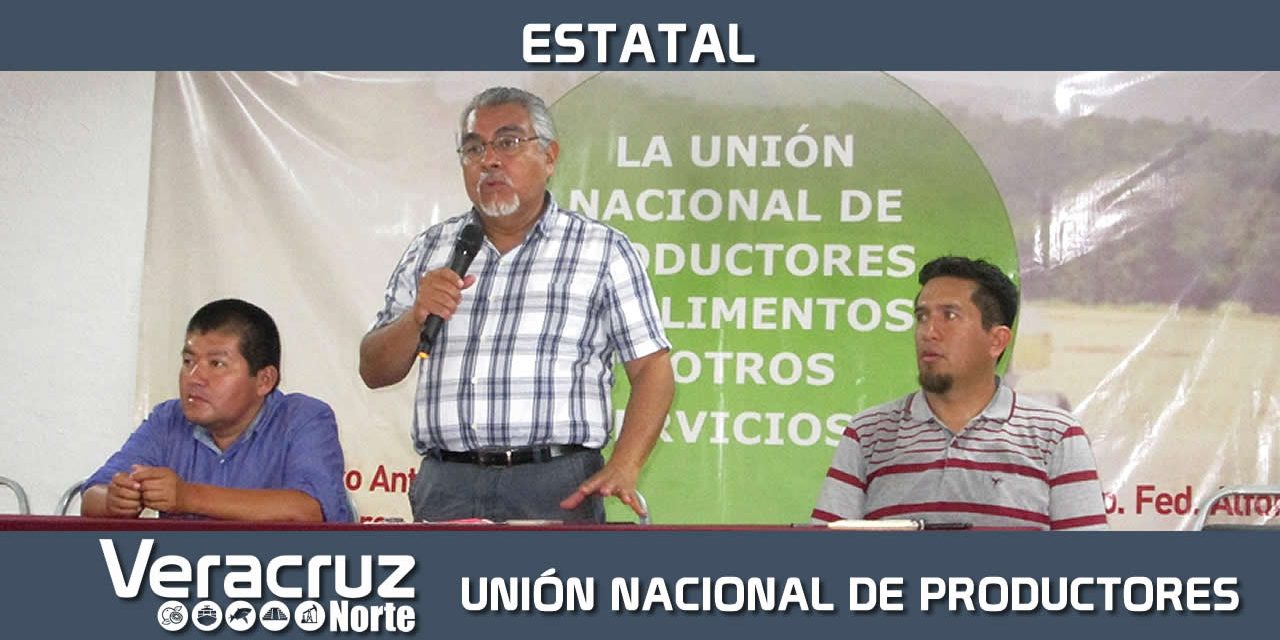 En Vías de Conformarse Unión Nacional de Productores