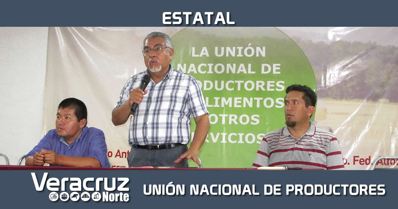 En Vías de Conformarse Unión Nacional de Productores