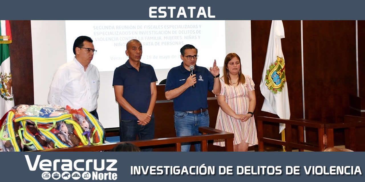 INVESTIGACIÓN DE DELITOS DE VIOLENCIA