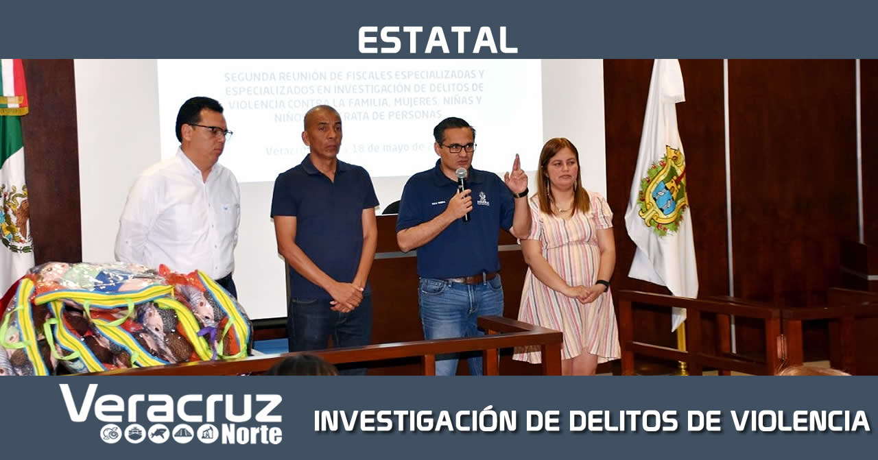 INVESTIGACIÓN DE DELITOS DE VIOLENCIA
