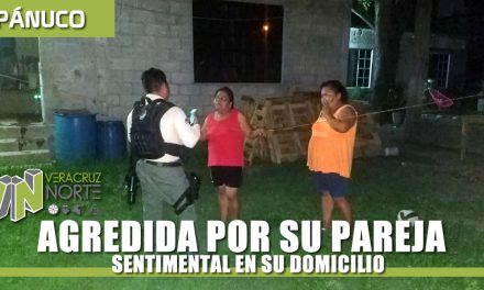 AGREDIDA POR SU PAREJA SENTIMENTAL EN SU DOMICILIO