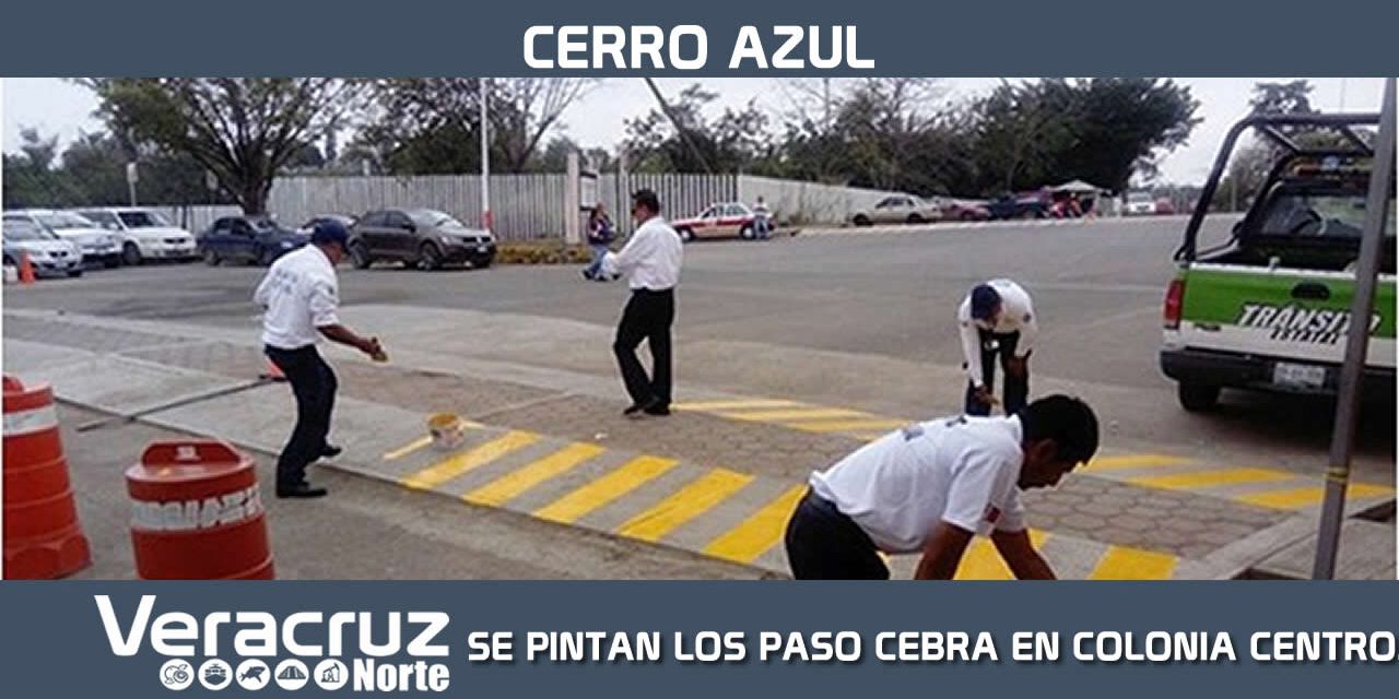 SE PINTAN LOS PASO CEBRA EN COLONIA CENTRO
