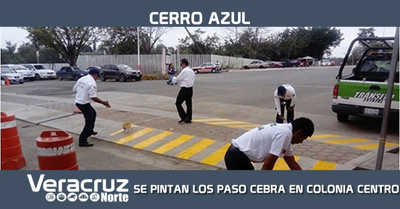 SE PINTAN LOS PASO CEBRA EN COLONIA CENTRO