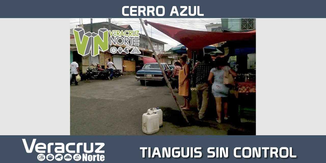 TIANGUIS SIN CONTROL INVADE MÁS ESPACIO