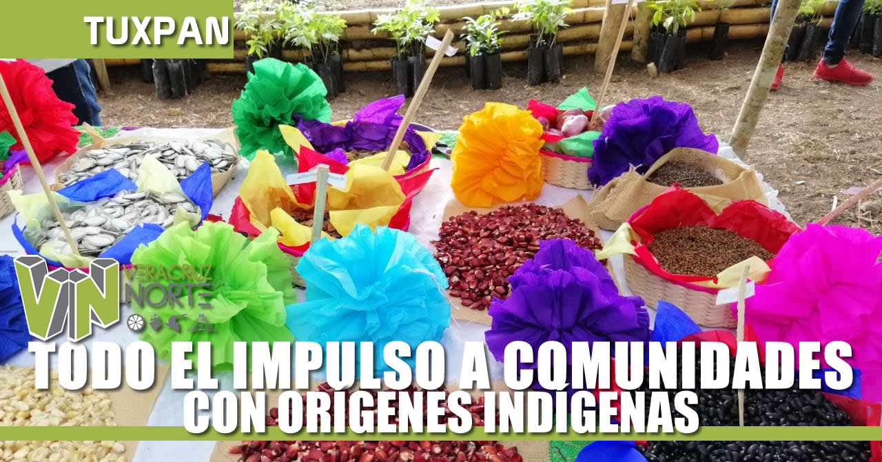 TODO EL IMPULSO A COMUNIDADES CON ORÍGENES INDÍGENAS