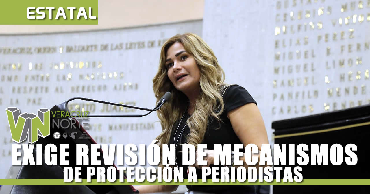 REVISIÓN DE MECANISMOS DE PROTECCIÓN A PERIODISTAS