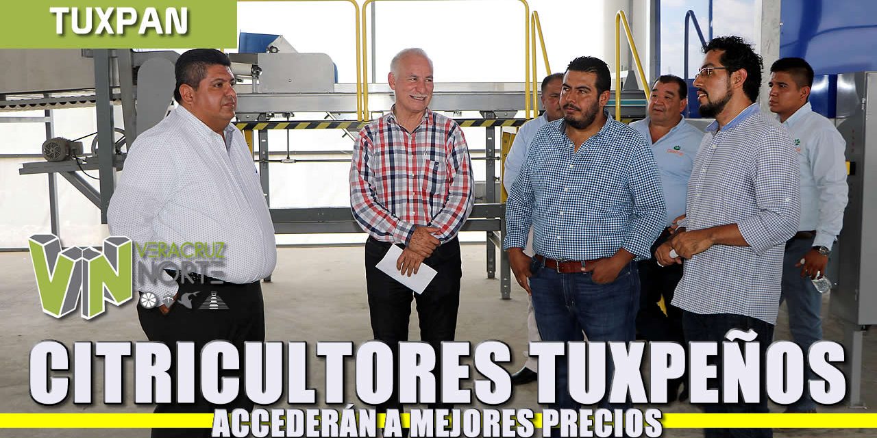 Citricultores tuxpeños podrán acceder a mejores precios