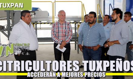 Citricultores tuxpeños podrán acceder a mejores precios