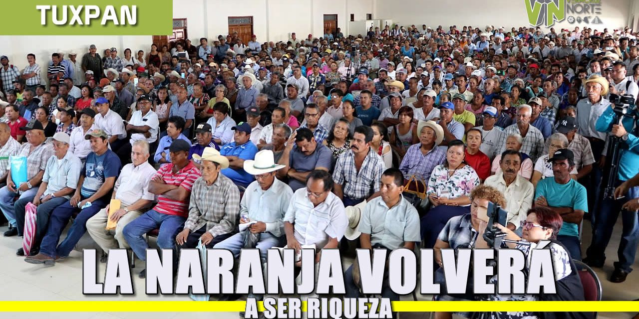 La naranja volverá a ser riqueza