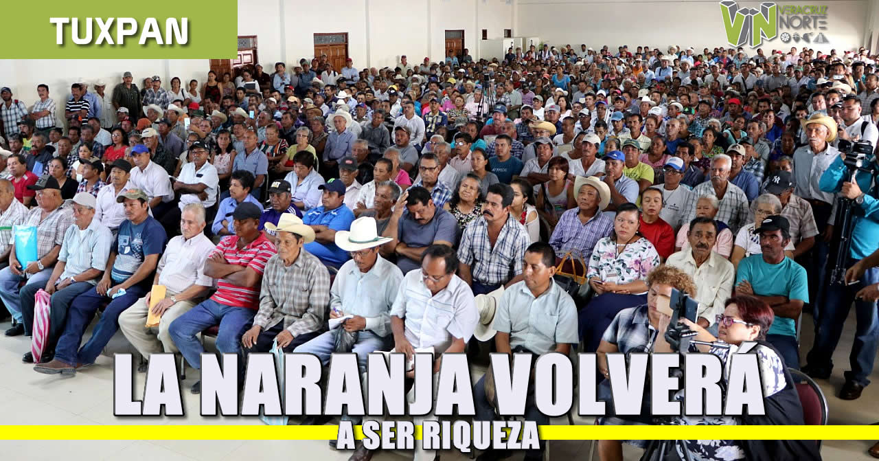 La naranja volverá a ser riqueza