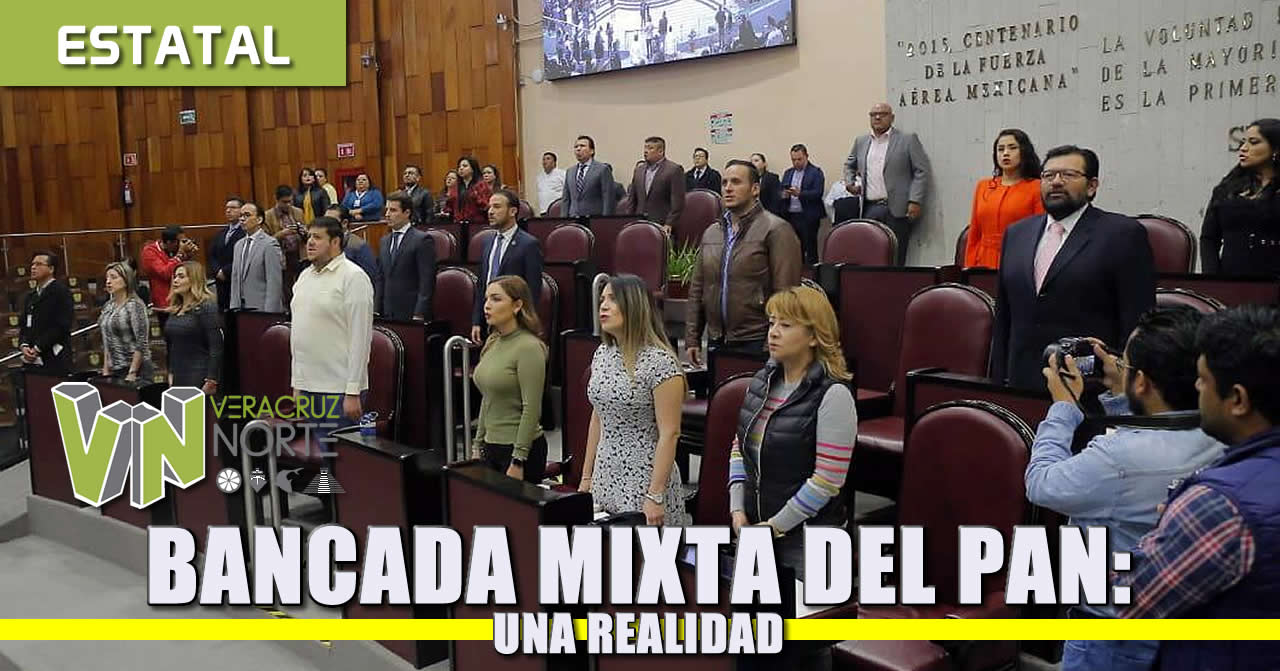 Bancada Mixta del PAN: Una Realidad