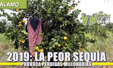 2019: LA PEOR SEQUÍA PROVOCA PÉRDIDAS MILLONARIAS