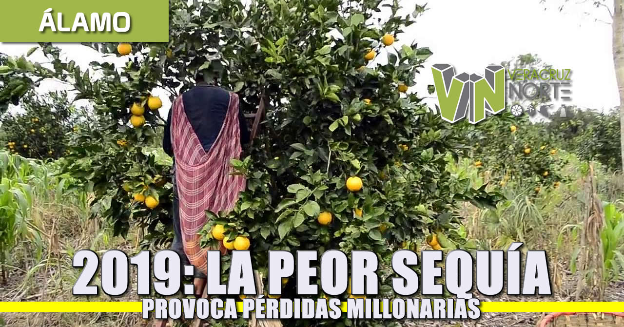 2019: LA PEOR SEQUÍA PROVOCA PÉRDIDAS MILLONARIAS