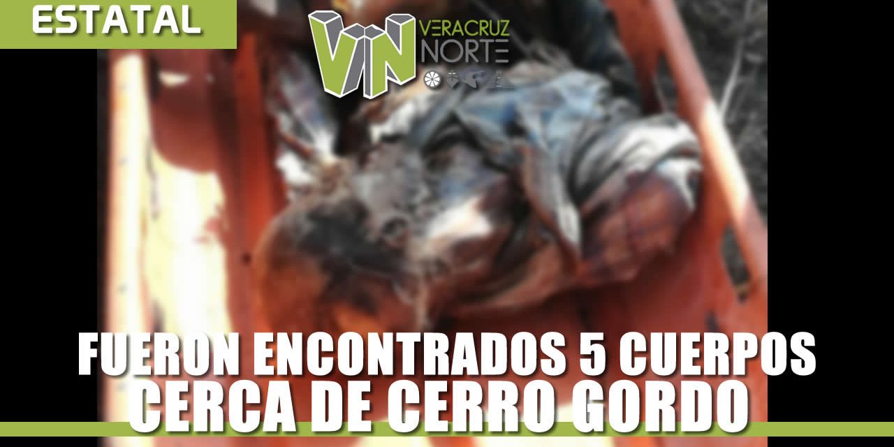 Encuentran 5 cuerpos putrefactos cerca de Cerro Gordo