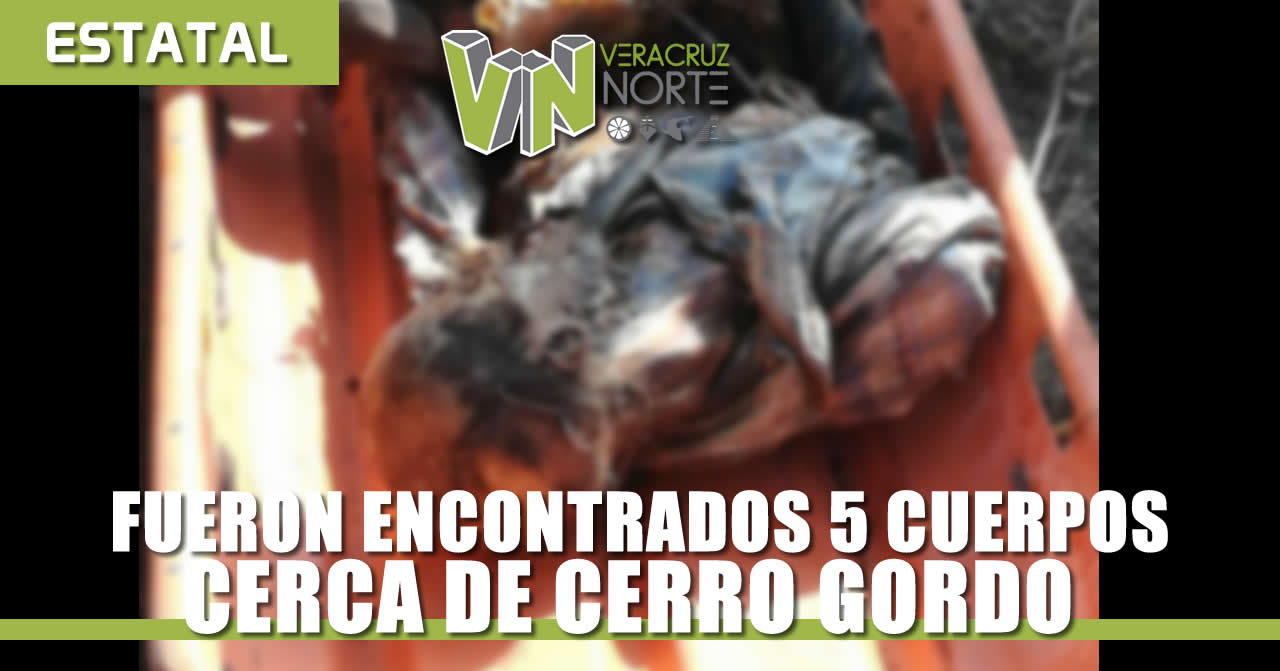 Encuentran 5 cuerpos putrefactos cerca de Cerro Gordo