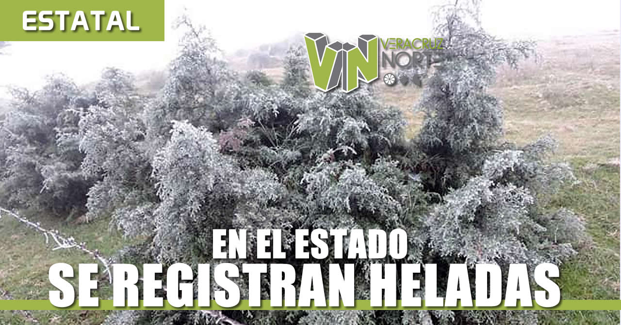 Se registran HELADAS en el Estado