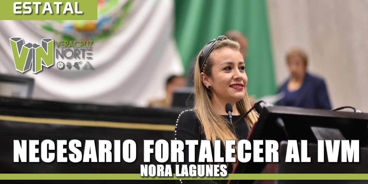 Necesario fortalecer al IVM: Nora Lagunes
