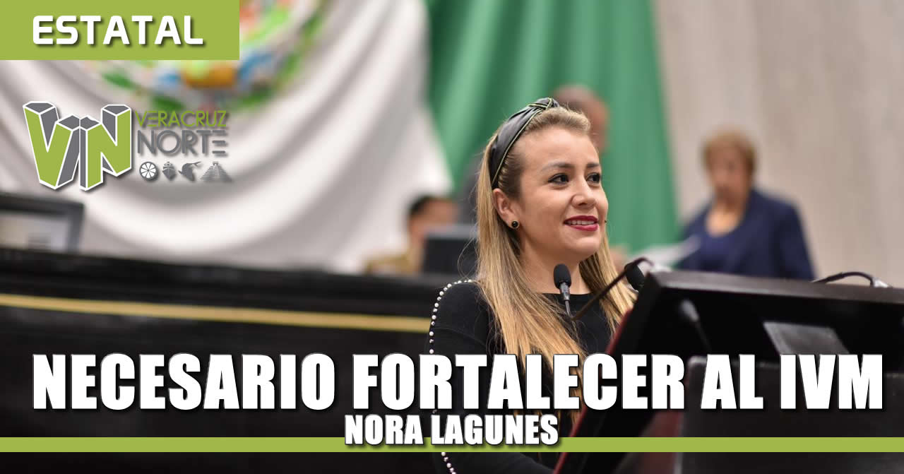 Necesario fortalecer al IVM: Nora Lagunes