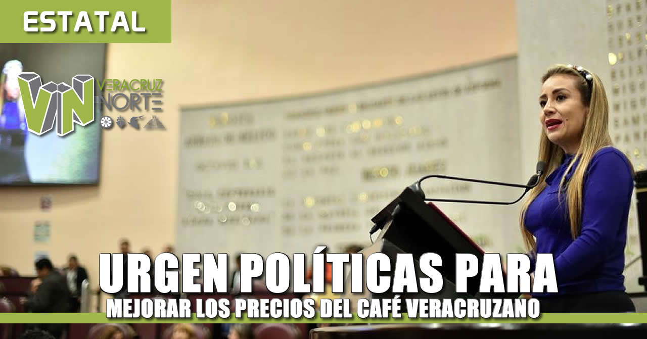 URGEN POLÍTICAS PARA MEJORAR LOS PRECIOS DEL CAFÉ VERACRUZANO