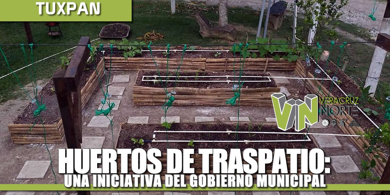 HUERTOS DE TRASPATIO: UNA INICIATIVA DEL GOBIERNO MUNICIPAL