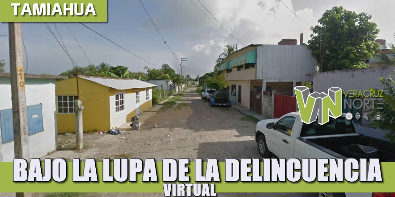 BAJO LA LUPA DE LA DELINCUENCIA VIRTUAL