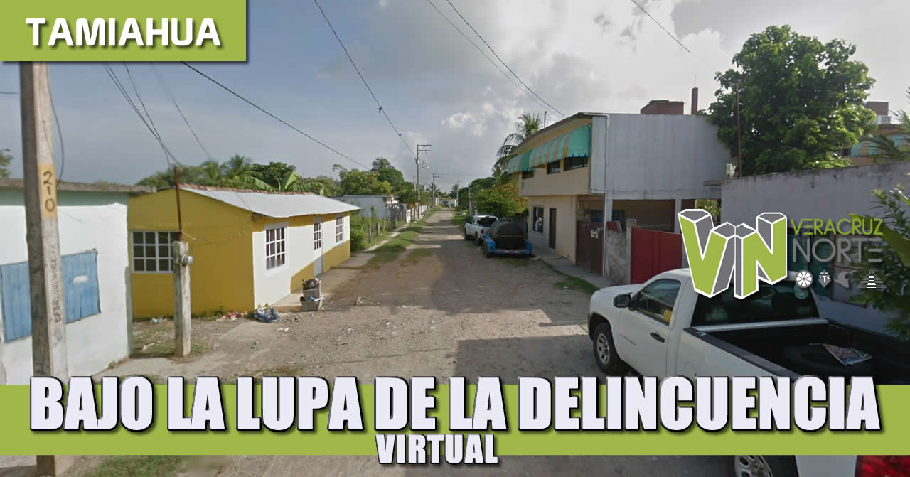 BAJO LA LUPA DE LA DELINCUENCIA VIRTUAL