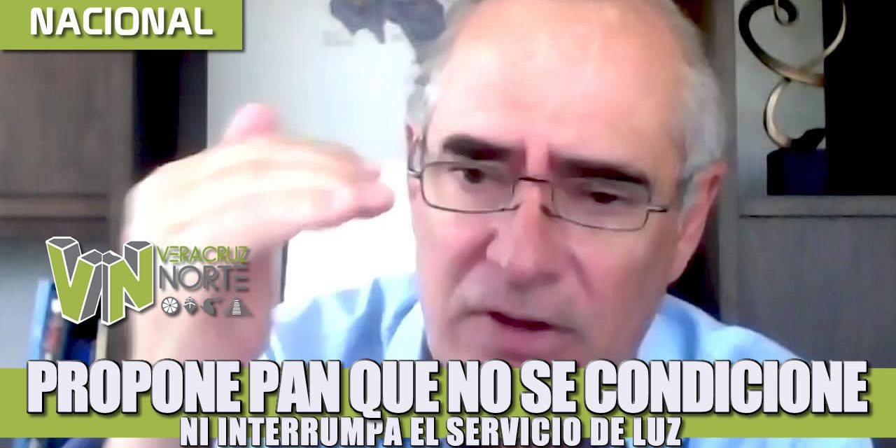 Propone PAN que no se condicione ni interrumpa el servicio de luz a los mexicanos durante la contingencia