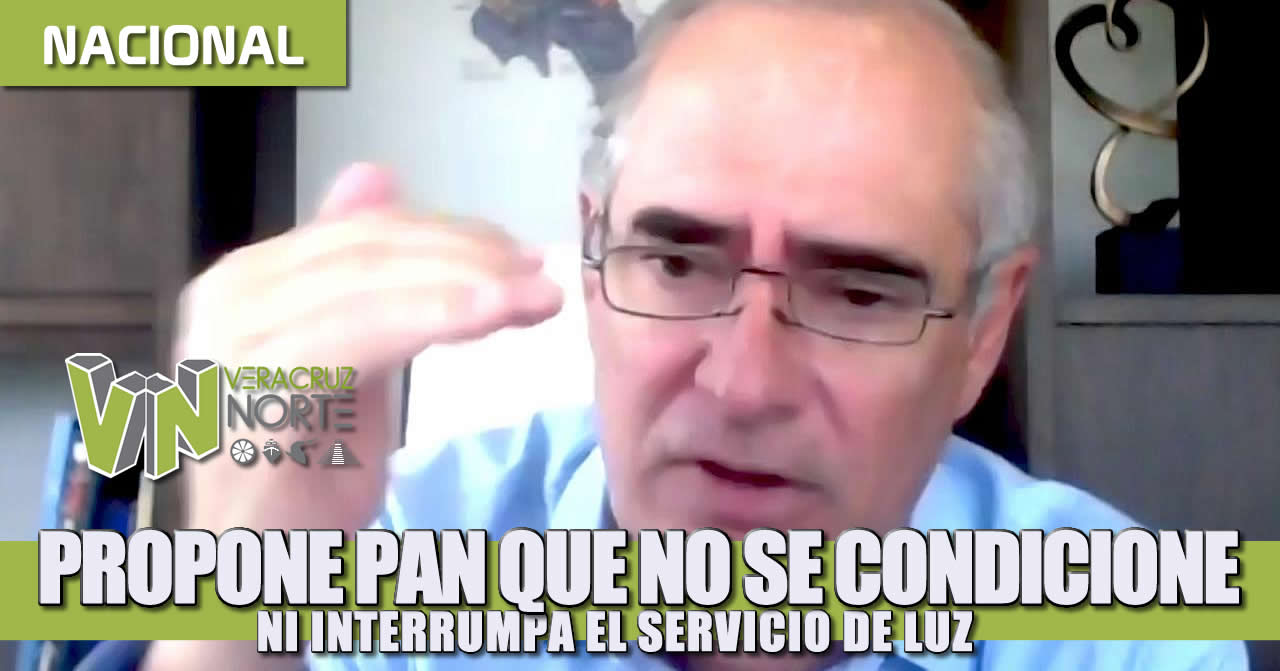 Propone PAN que no se condicione ni interrumpa el servicio de luz a los mexicanos durante la contingencia