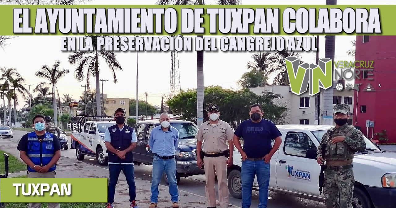 EL AYUNTAMIENTO DE TUXPAN COLABORA EN LA PRESERVACIÓN DEL CANGREJO AZUL