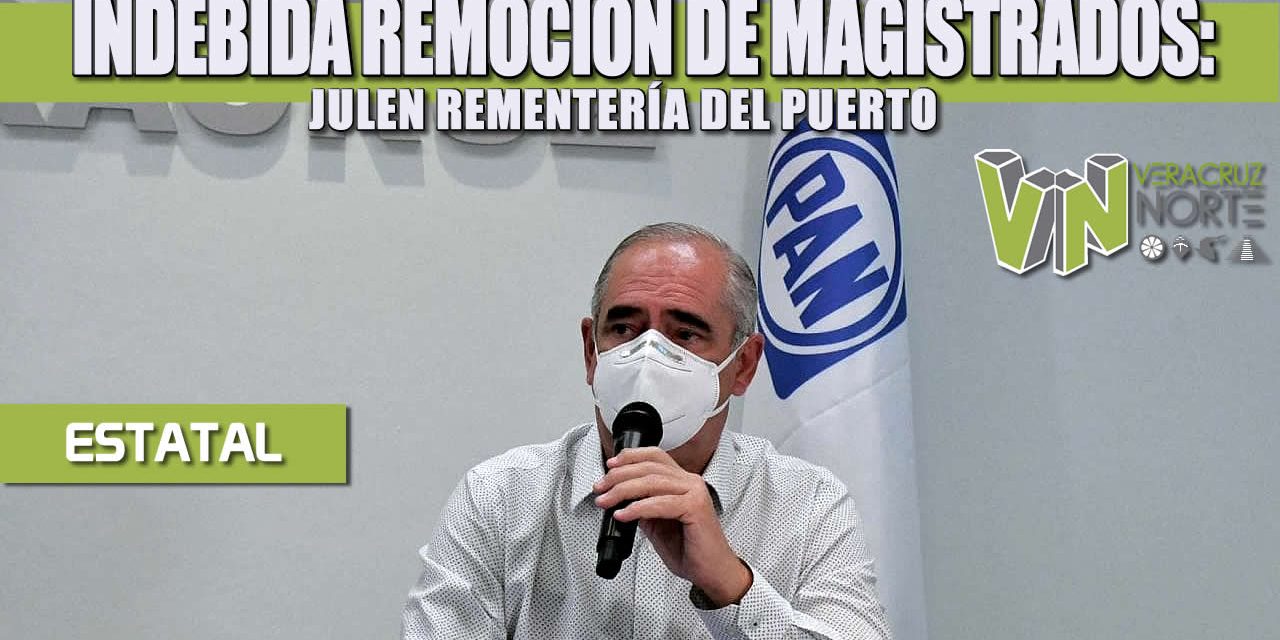 INDEBIDA REMOCIÓN DE MAGISTRADOS: JULEN REMENTERÍA DEL PUERTO