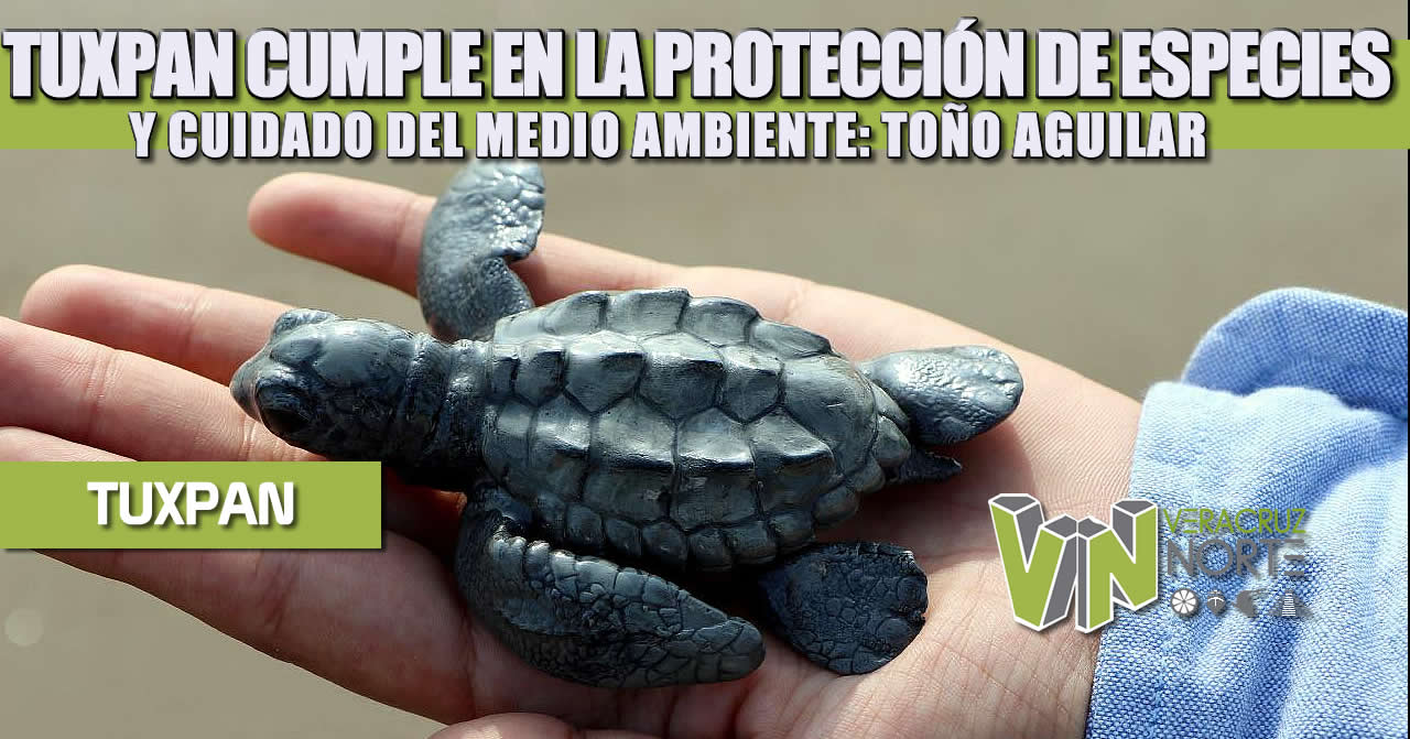 TUXPAN CUMPLE EN LA PROTECCIÓN DE ESPECIES