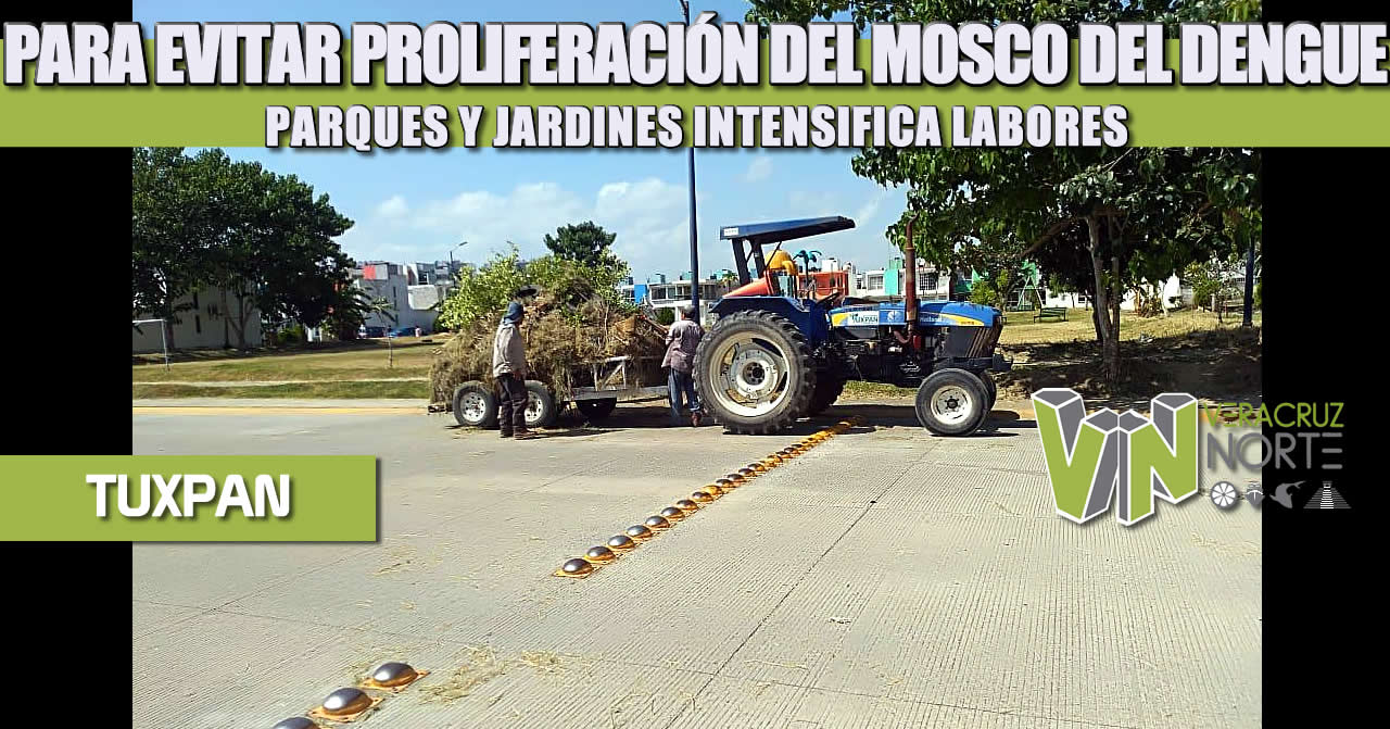 PARA EVITAR PROLIFERACIÓN DEL MOSCO DEL DENGUE, PARQUES Y JARDINES INTENSIFICA LABORES