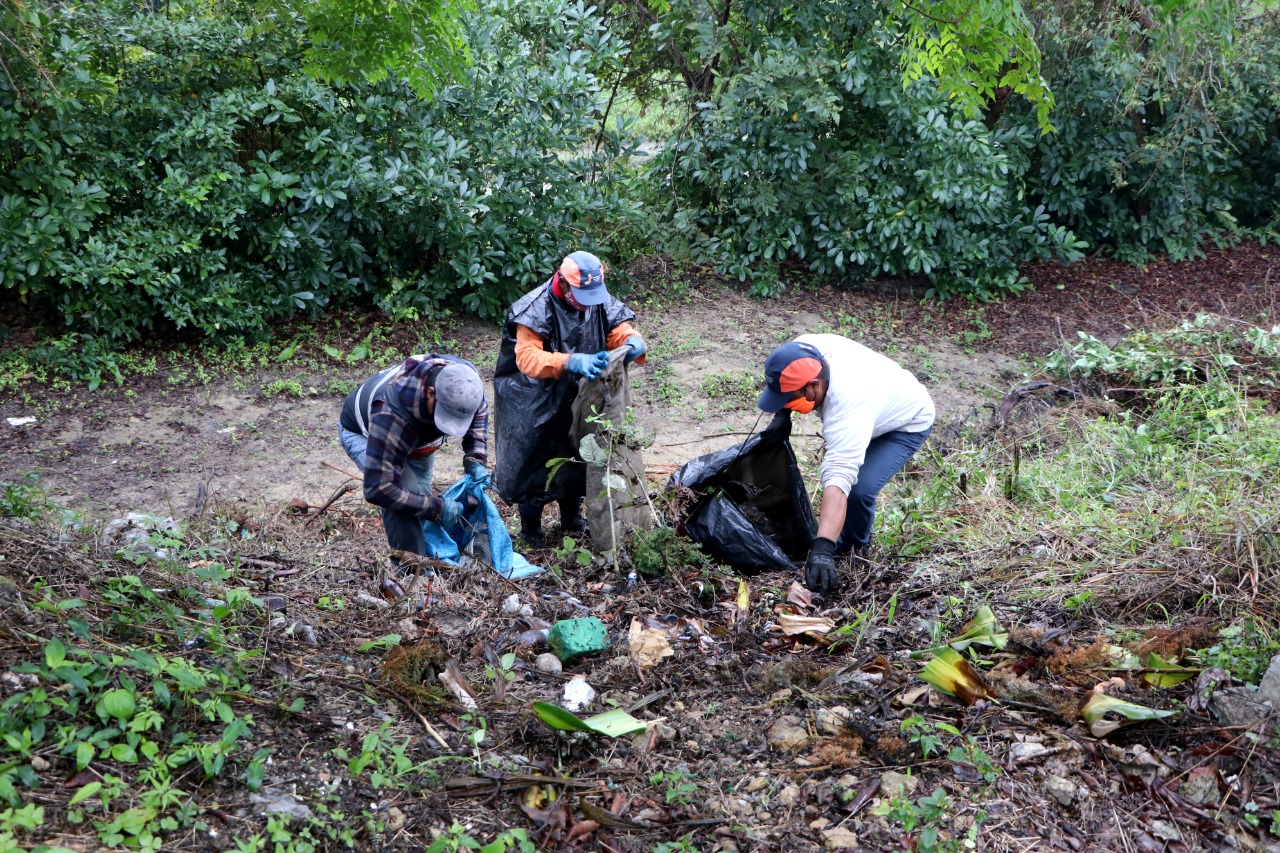 GOBIERNO DE TUXPAN INICIA LABORES DE LIMPIEZA Y MANTENIMIENTO DEL PANTEÓN JARDÍN.