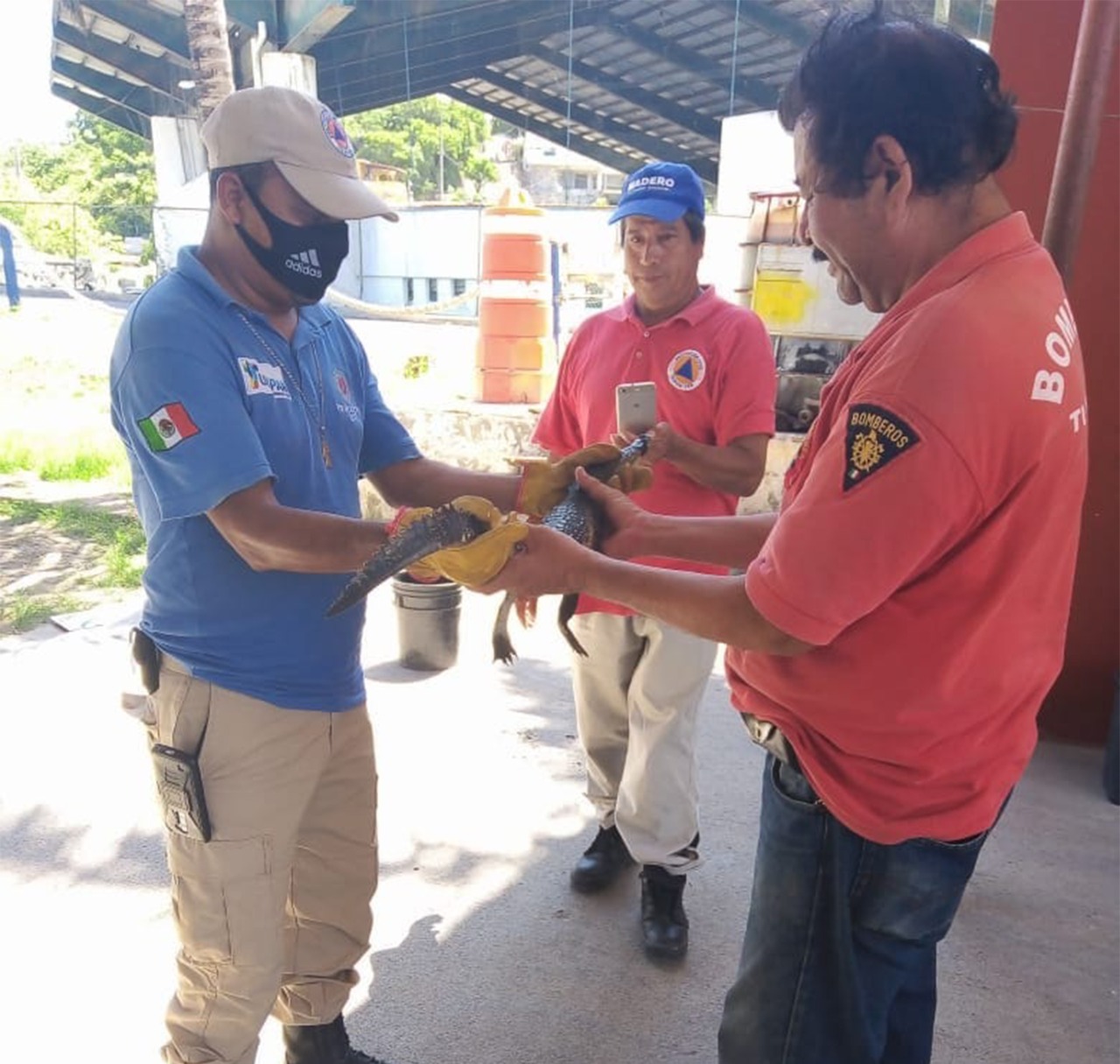 AYUNTAMIENTO PROTEGE Y PRESERVA LA FAUNA QUE EXISTE EN TUXPAN